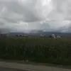 felipesamanoflore - @felipesamanoflore - TikTok