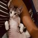 Felipe Santander - Facebook