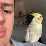 Felipe Seidel - @sseidelfelipe58 - Instagram