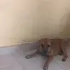 rosmiraalmeida - @felipeestoysoltero - TikTok