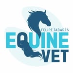 Felipe Tabares Gonzalez - @felipetabares.equinevet - Instagram
