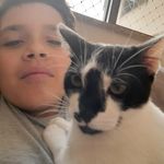 João Felipe Taboada dos Santos - @kirbo_poyo4449 - Instagram