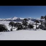 Felipe Guarachi Ruiz-Tagle - @felipeguarachiruiztagle - Instagram