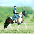 Felipe Thierry - Facebook