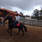 felipetobias - @felipetobias40 - Instagram
