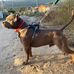 Felipe Raul Trigo Perez - Facebook
