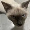 Felipe trujillo - @felipe.trujillo962 - TikTok