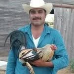 Felipe Uresti - @felipe.uresti.336 - Instagram