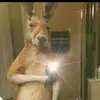 Felipe Valderrama$@ - @felipe.valderrama26 - TikTok