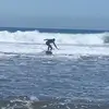Felipe Valverde - @zorro.valverde - TikTok