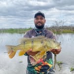 Felipe Vasconcelos - @felipe_vasconcelos38 - Instagram