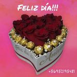 Ricardo Felipe Venegas Acevedo - @ramos_de_amor - Instagram