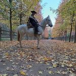 Felipe Ortiz Vielma - @felipeortizvielma - Instagram