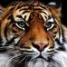 Felipe Vielma - Facebook