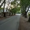 felipevilchesespi2 - @felipevilchesespi2 - TikTok