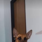 Felipe Villa - Facebook