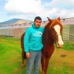 Luis Felipe Vivanco Sanchez - @felipe_vivanco_36 - Instagram