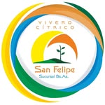 San Felipe Vivero - @viverocitricosanfelipe.bsas - Instagram