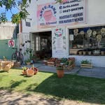 Vivero Felipe - @viverodonfelipevm - Instagram