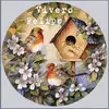 viverofelipe - @viverofelipe - TikTok