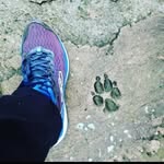 Felipe Walker - @felipewalker88 - Instagram