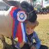 Felipewalter - @felipewalter81 - TikTok