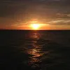 Felipe Wu - @30527662457 - TikTok
