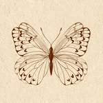𝑭𝒆𝒍𝒊𝒑𝒆 𝒀𝒂́𝒏̃𝒆𝒛 - @passiflora_tattoo - Instagram