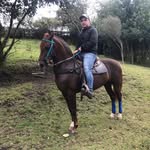 Felipe Zabala - @felipe_zabala - Instagram