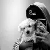 Felipe Zabala - @felipe._.zabala - TikTok