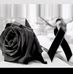 Felipe Zamarripa - Facebook