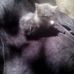Felipe Zarate - Facebook