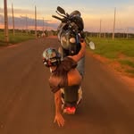 Felipe Zarate - @zaratt_00 - Instagram