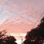 Felipe De Jesús Zavala Mendoza - @felipe.zavala_mendoza - Instagram