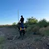 felipe zendejas - @felipezendejas573 - TikTok