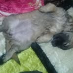 Felisa Acevedo - Facebook