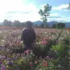 Felisa Castillo - @felisa.castillo03 - TikTok