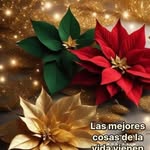 Felisa Chavez - @felisachavez - Instagram