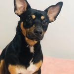 Felisa Padron Dominguez - @padronfelisa - Instagram
