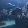 Felisha Walker661 - @felisha.walker661 - TikTok