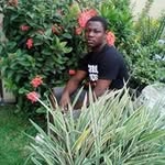 Felix Amable - @famable - Instagram