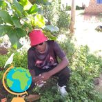 Felix Anton - Facebook