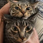 Felix & Ash - @felix_and_ash - Instagram