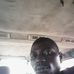 Felix Augustine - Facebook