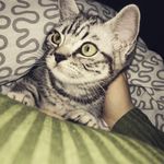 Bailey&Felix - @bailey_und_felix - Instagram
