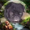 Barry 🐾 - @barry.felix2 - TikTok