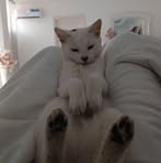 Felix Barry - Facebook