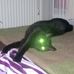 Felix Barth - Facebook