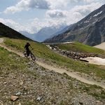 Felix Bauer - @felixbauer111999 - Instagram