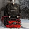 F.B200529 - @felix.baumann - TikTok